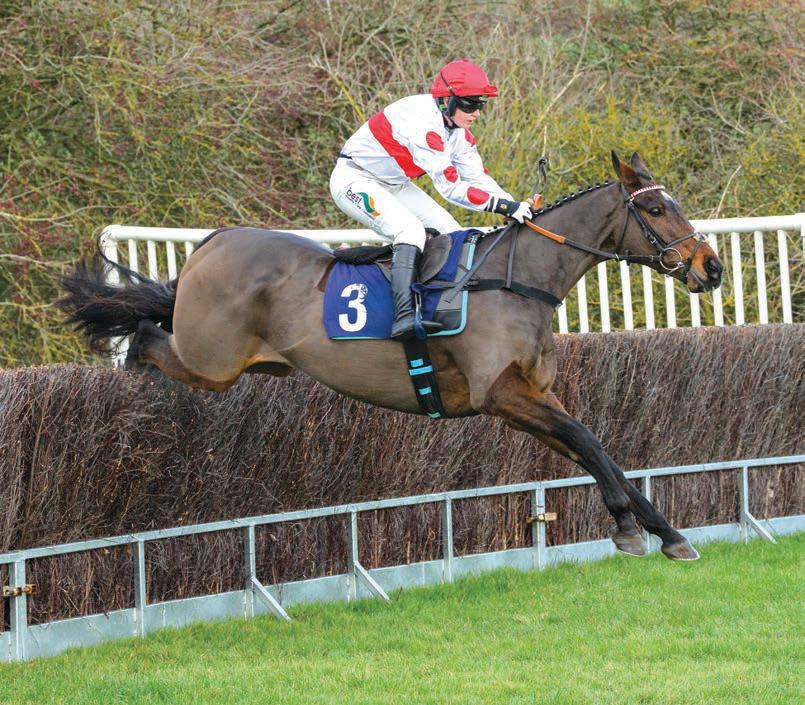 Double delight for Andrews