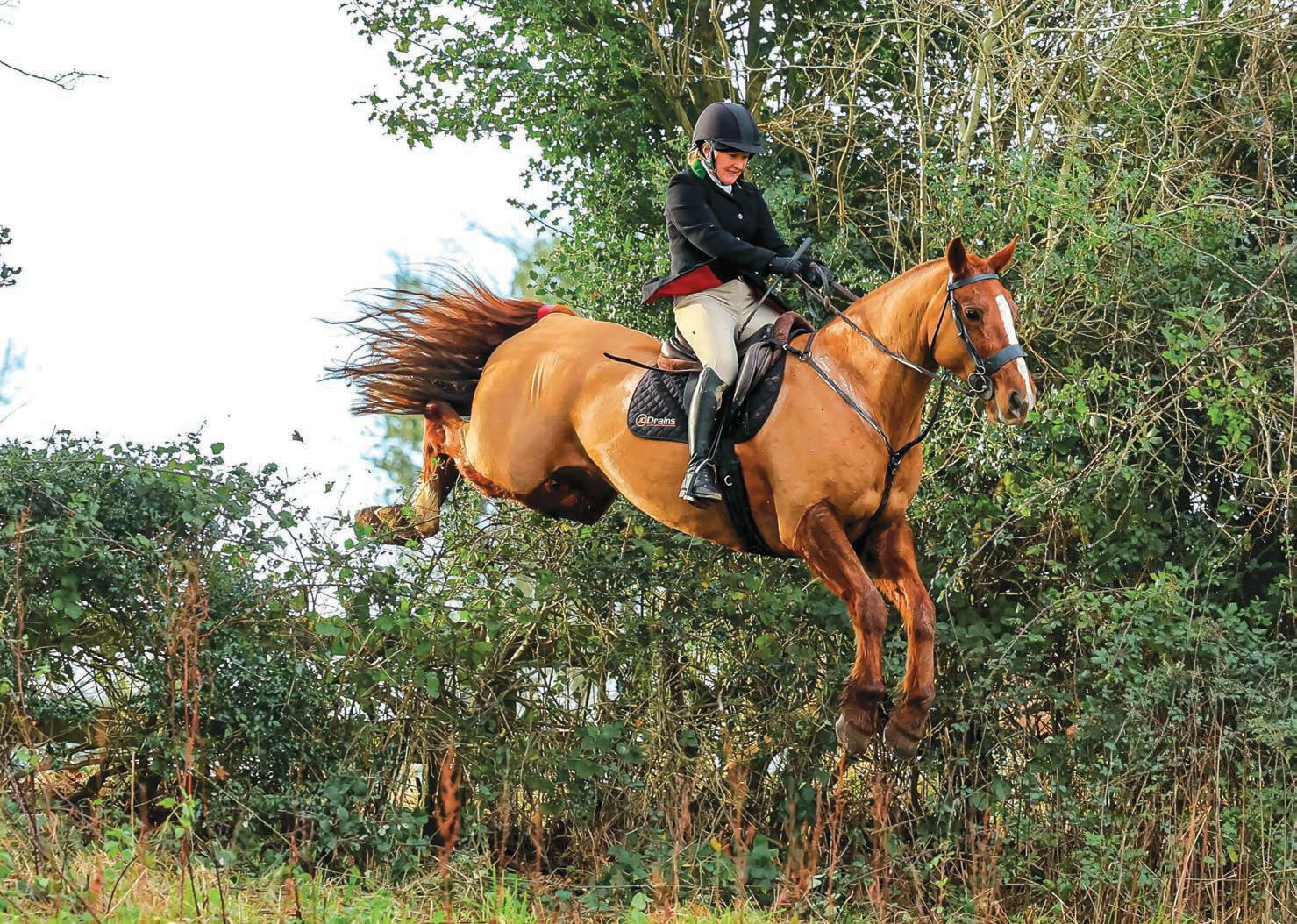 The follower's choice - own or roam?