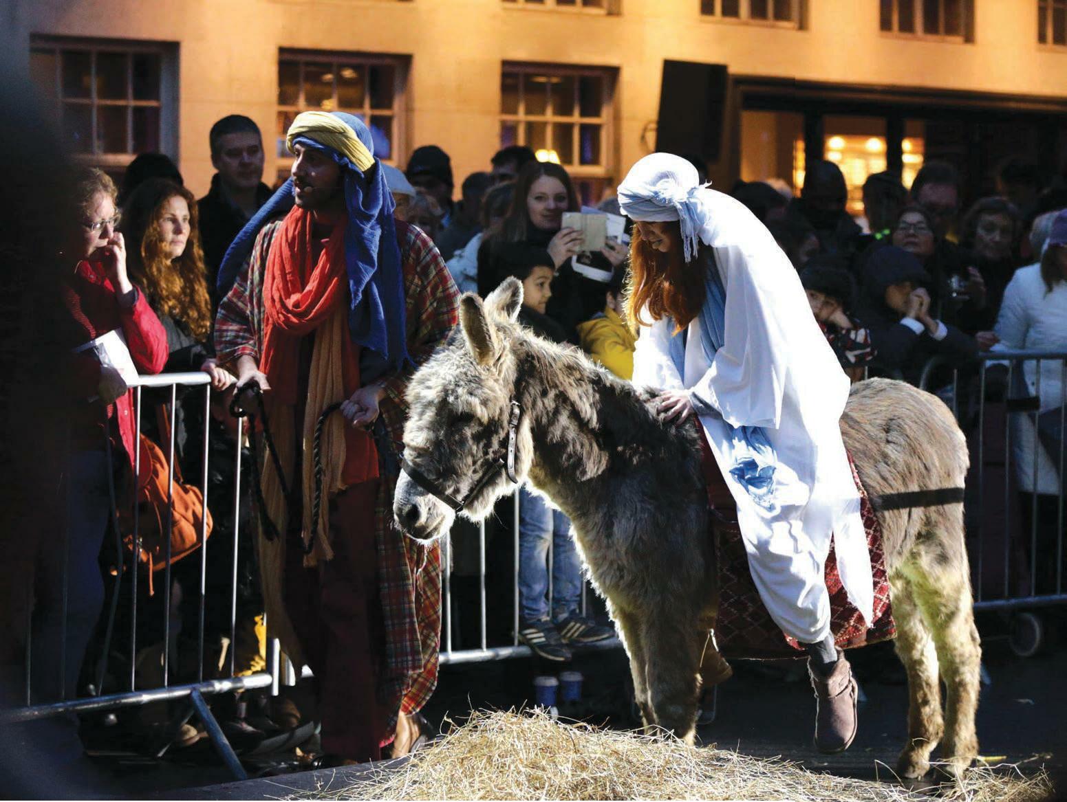 Little donkey, little donkey