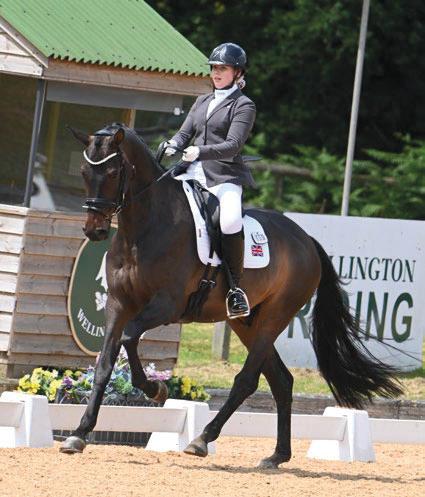 LONG-AWAITED TRIUMPHANT RETURN FOR "AMATEUR'S DREAM"