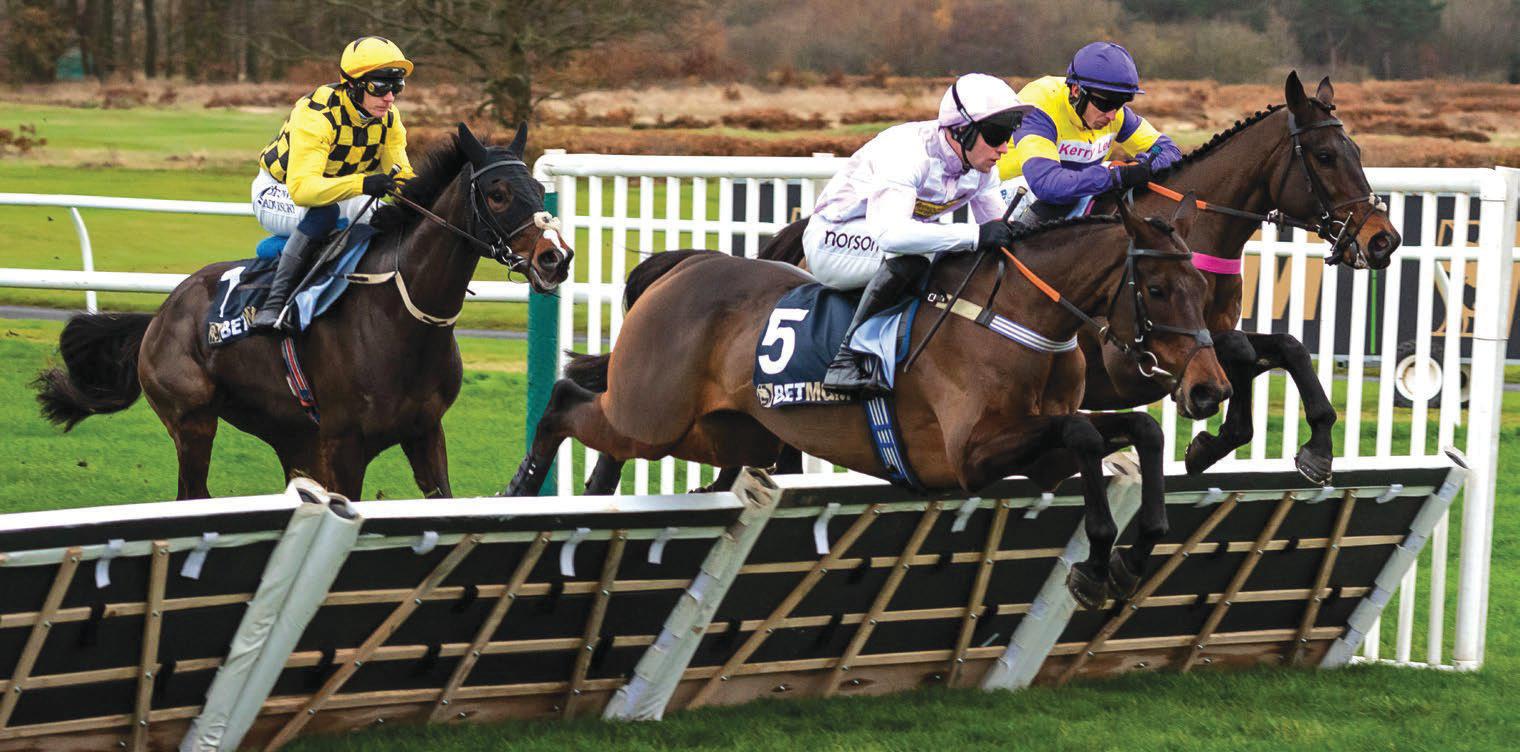 Right time for forgotten horse