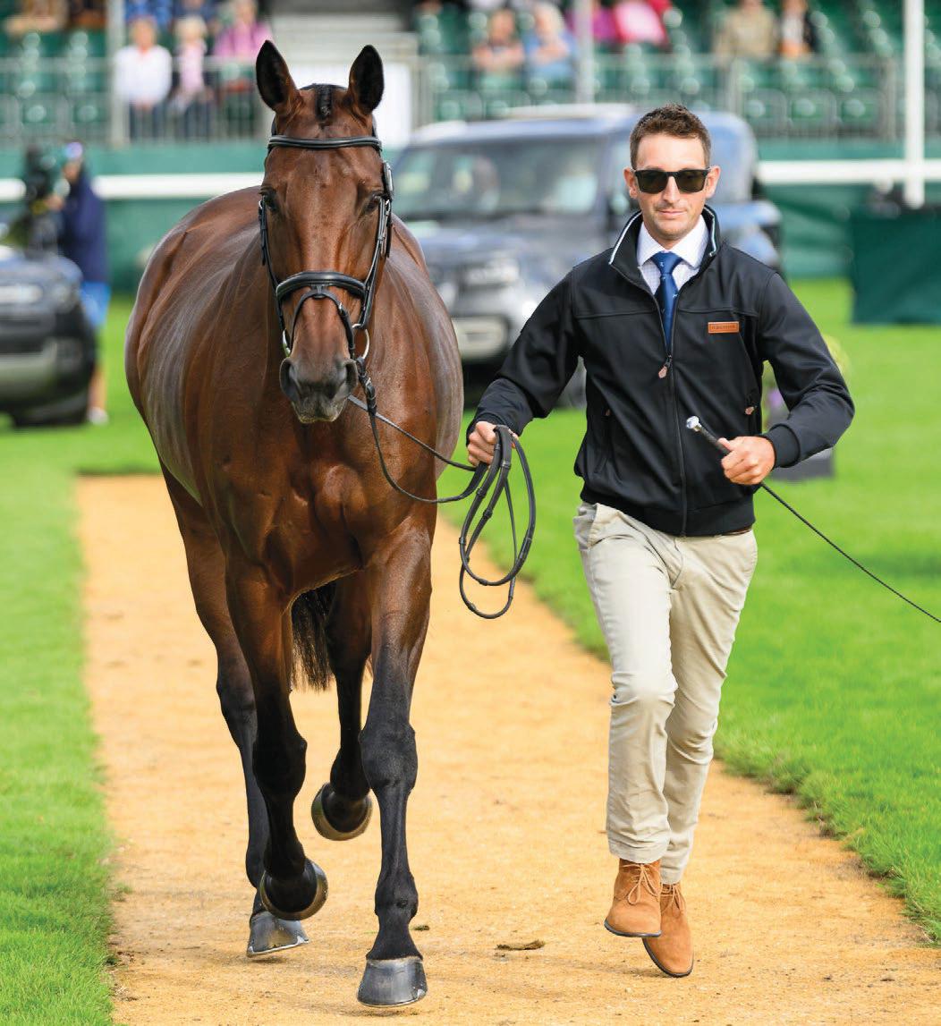 Top rider speaks out after US eventer suspended for abuse