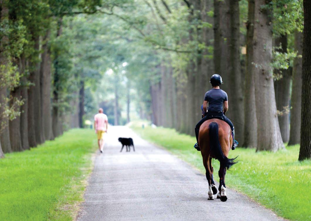 Tougher law on dog attacks but questions over its scope