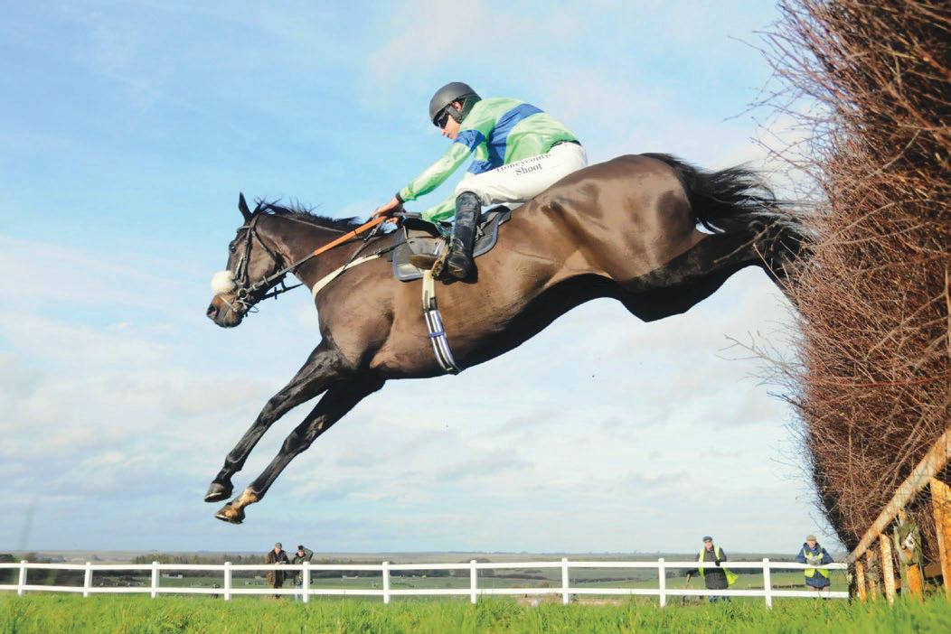 Leaders of Larkhill