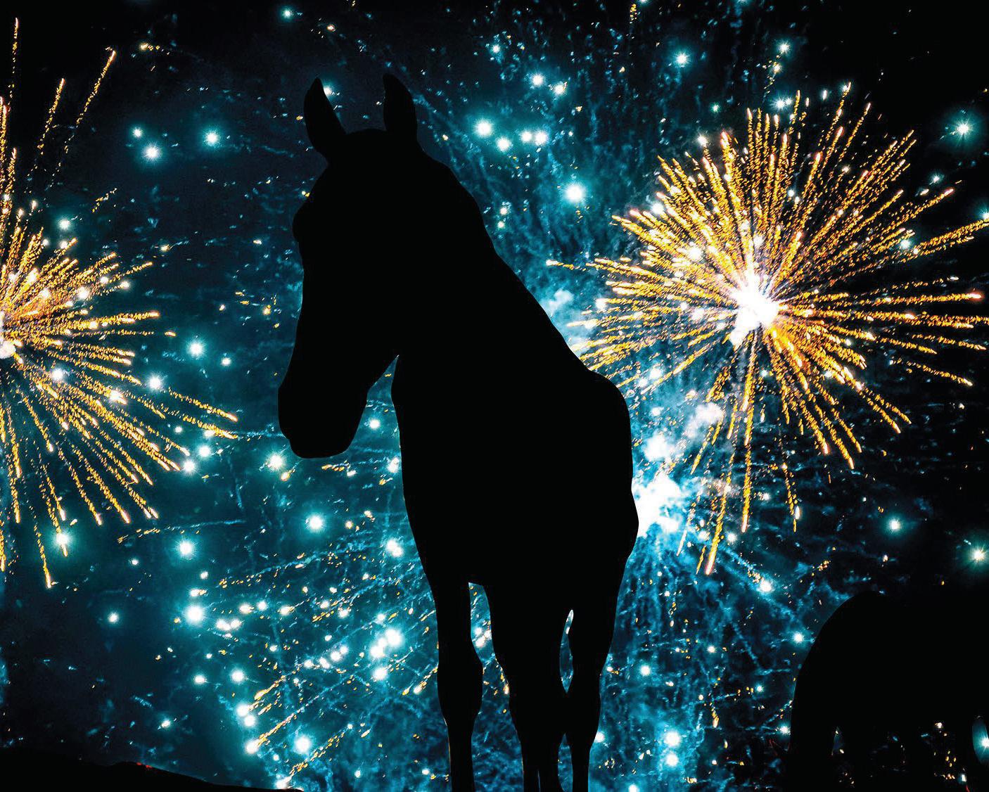 The menace of fireworks and calls for change