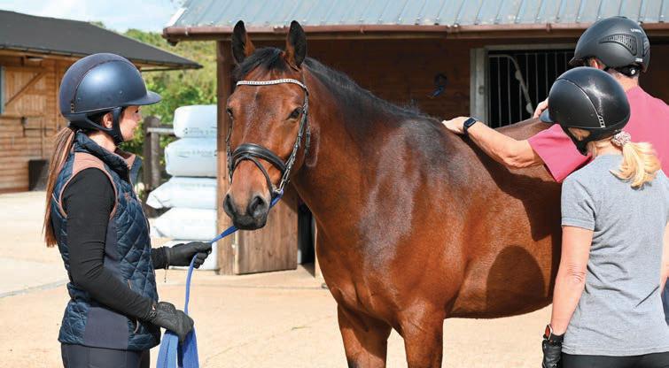 This is a ridiculous situation'