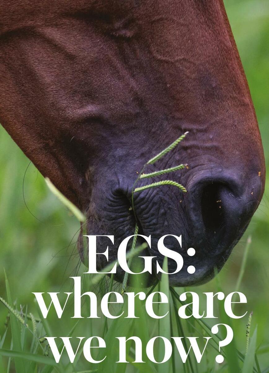 EGS: where are we now?