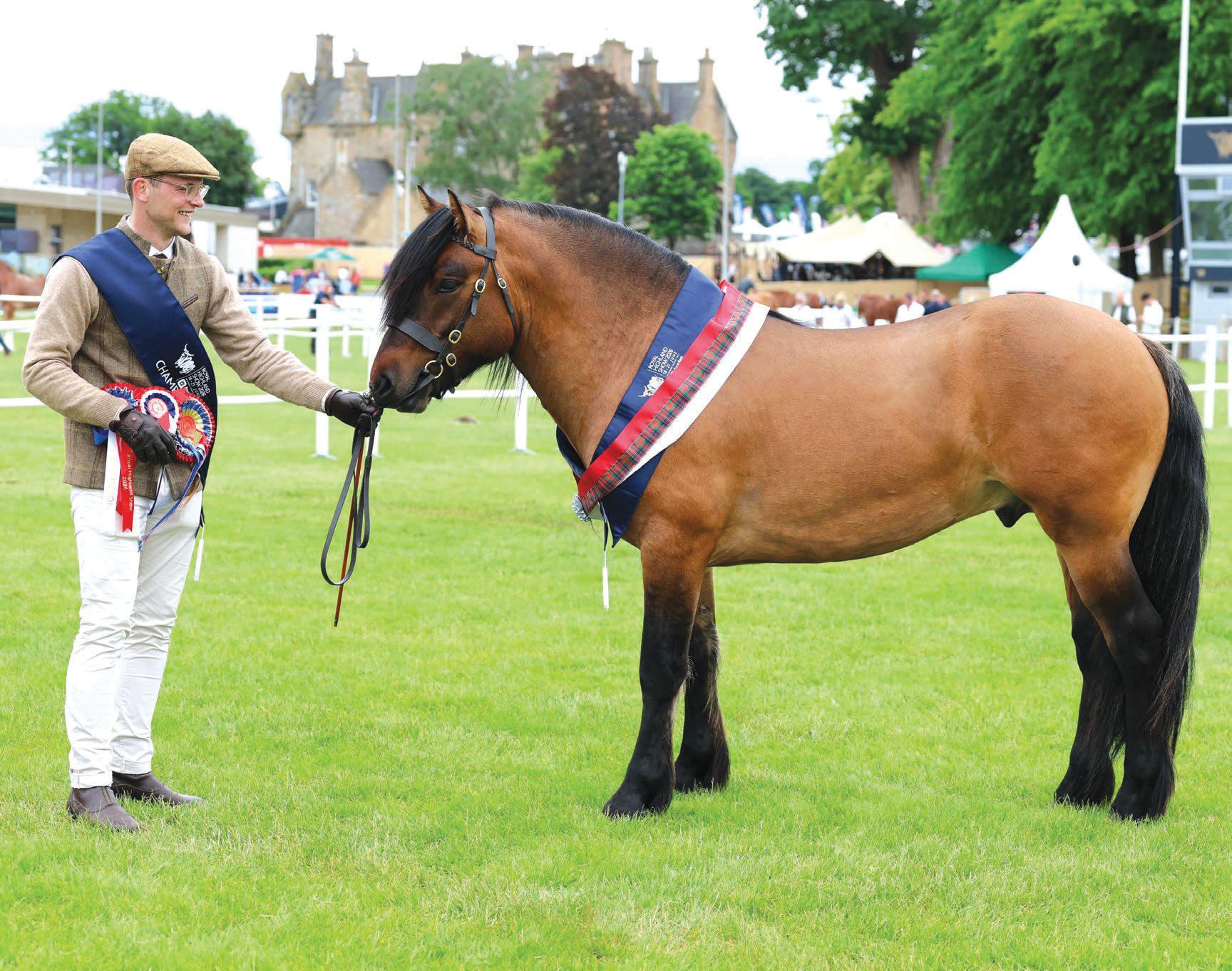 A star is found in Belhaven Boy