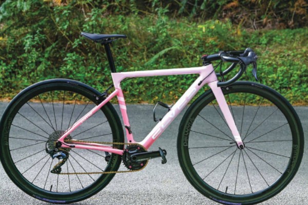 Bethany Brooksbank's Elves Vanyar