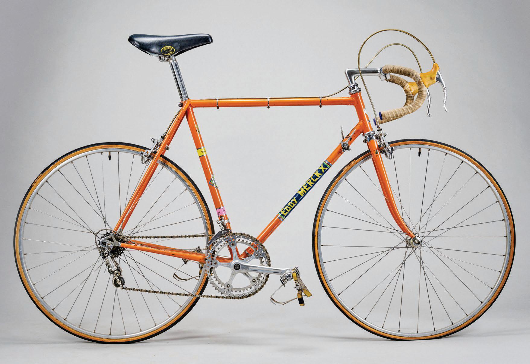 EDDY MERCKX TEAM BIKE