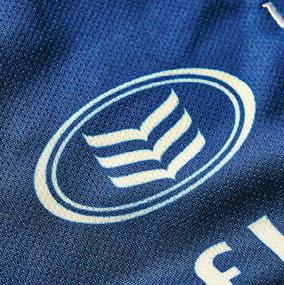 LEINSTER 2012-2013