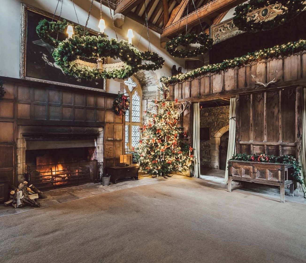 A Yule log to bring light