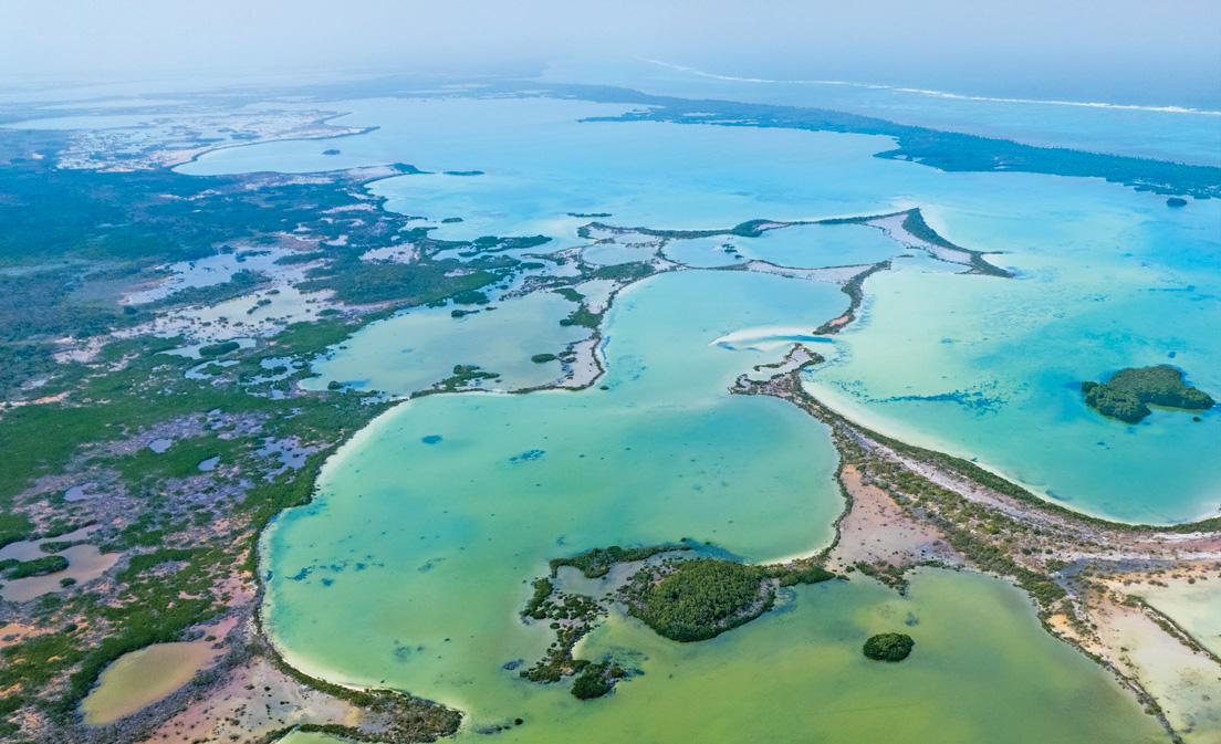 Beyond the Caye