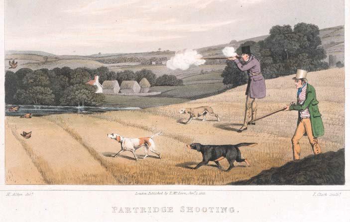 THE HISTORY OF THE FIELD IN A DOZEN PROBLEMS WHEN THE 'FIRST' IS TOO GLORIOUS