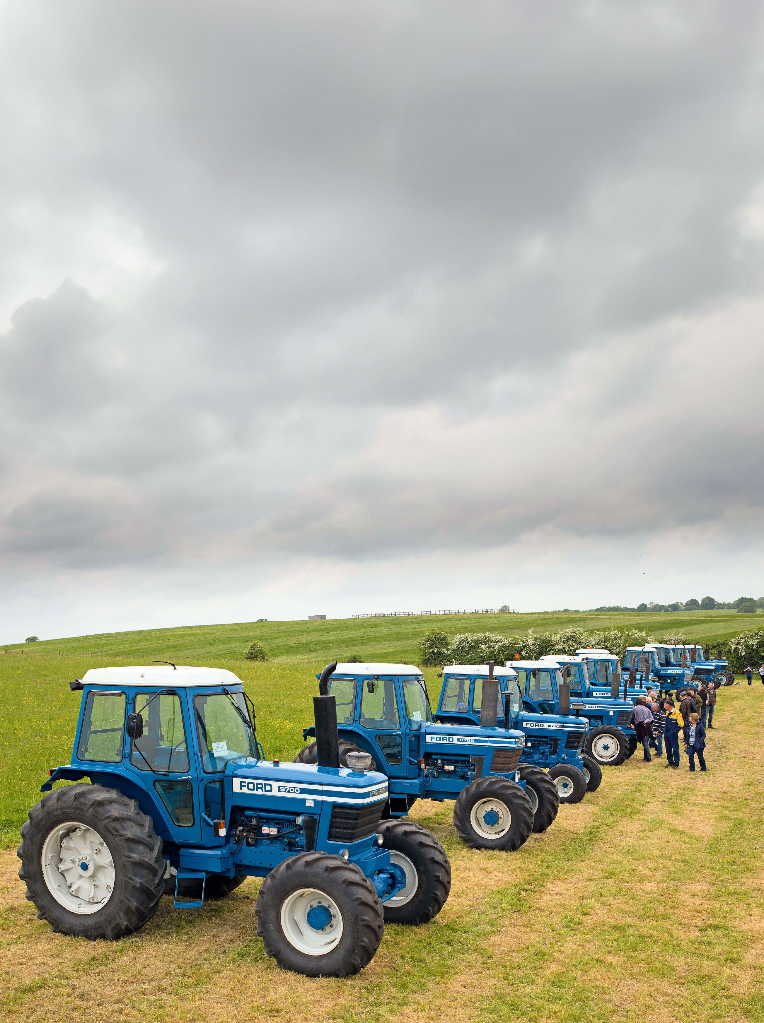 Blazing a blue trail