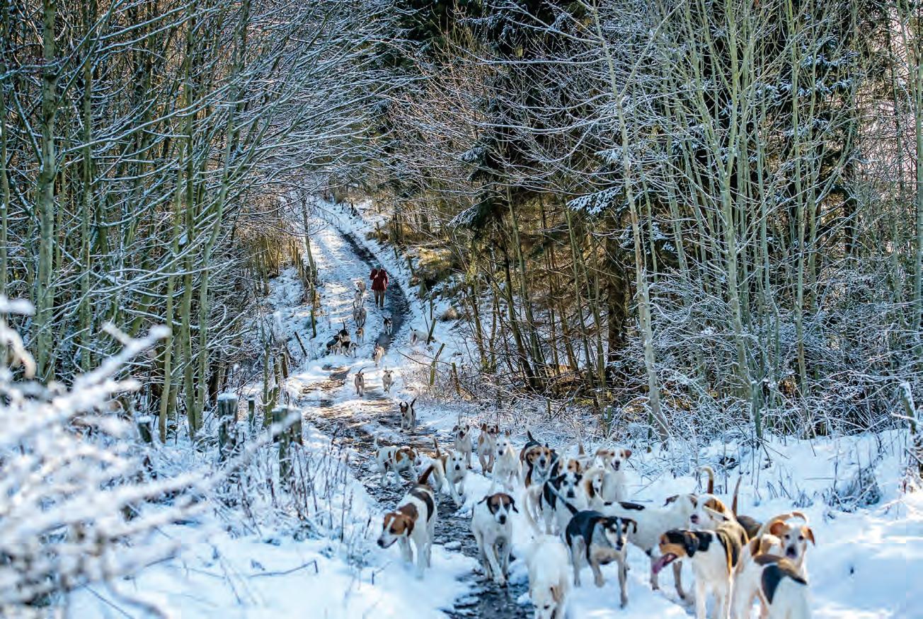 Revealing hunting's heart