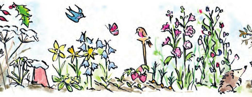 Second-hand but first-rate