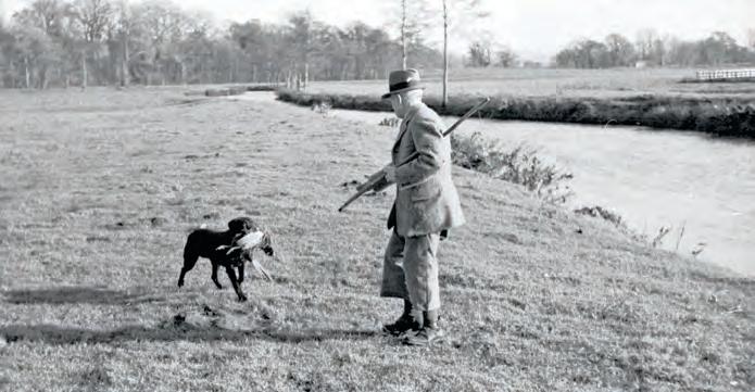 THE HISTORY OF THE FIELD IN A DOZEN PROBLEMS PICKING UP