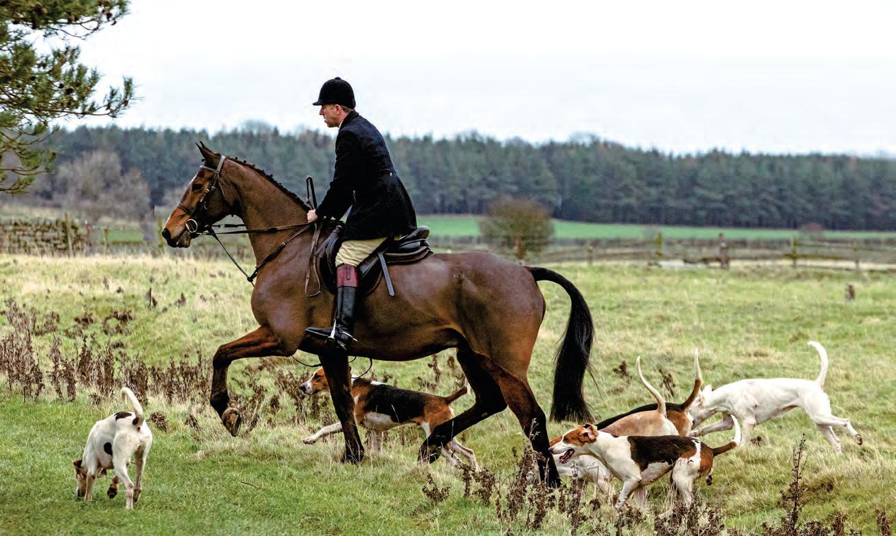 A midwinter Meet with the Morpeth