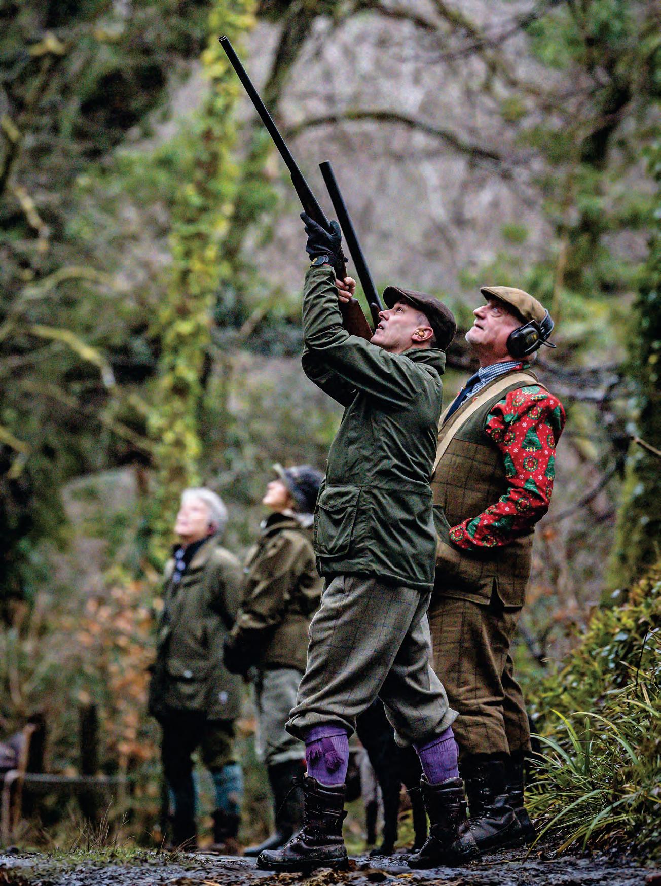 The third drive, Swiss, is as panoramic as anywhere you would find. Birds are flushed from tall woodland and fly high and majestically over the River Tamar, offering spectacular shooting