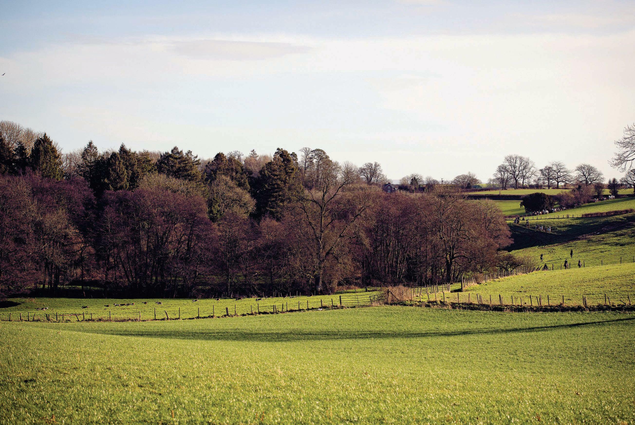 The ultimate winter warmer