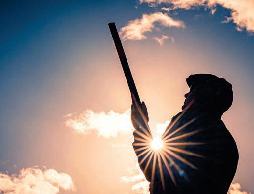 Getting what we pay for