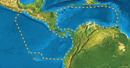 New safety check-in for Caribbean cruisers