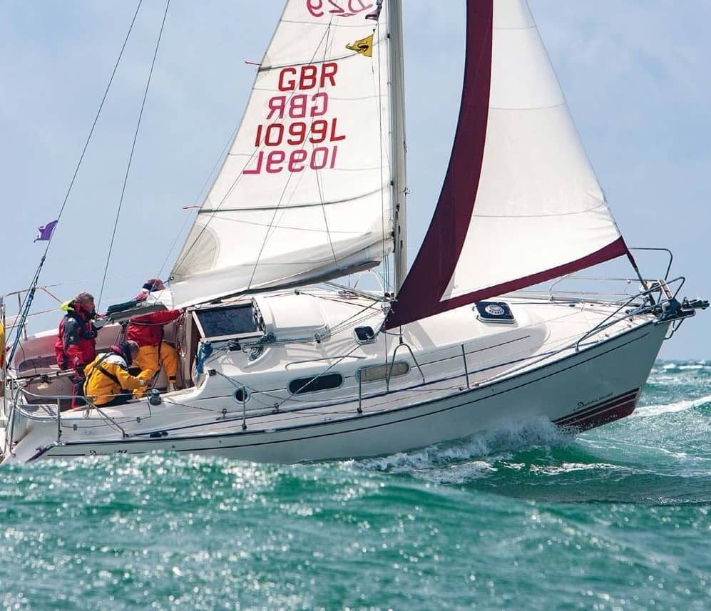 Delphia 29