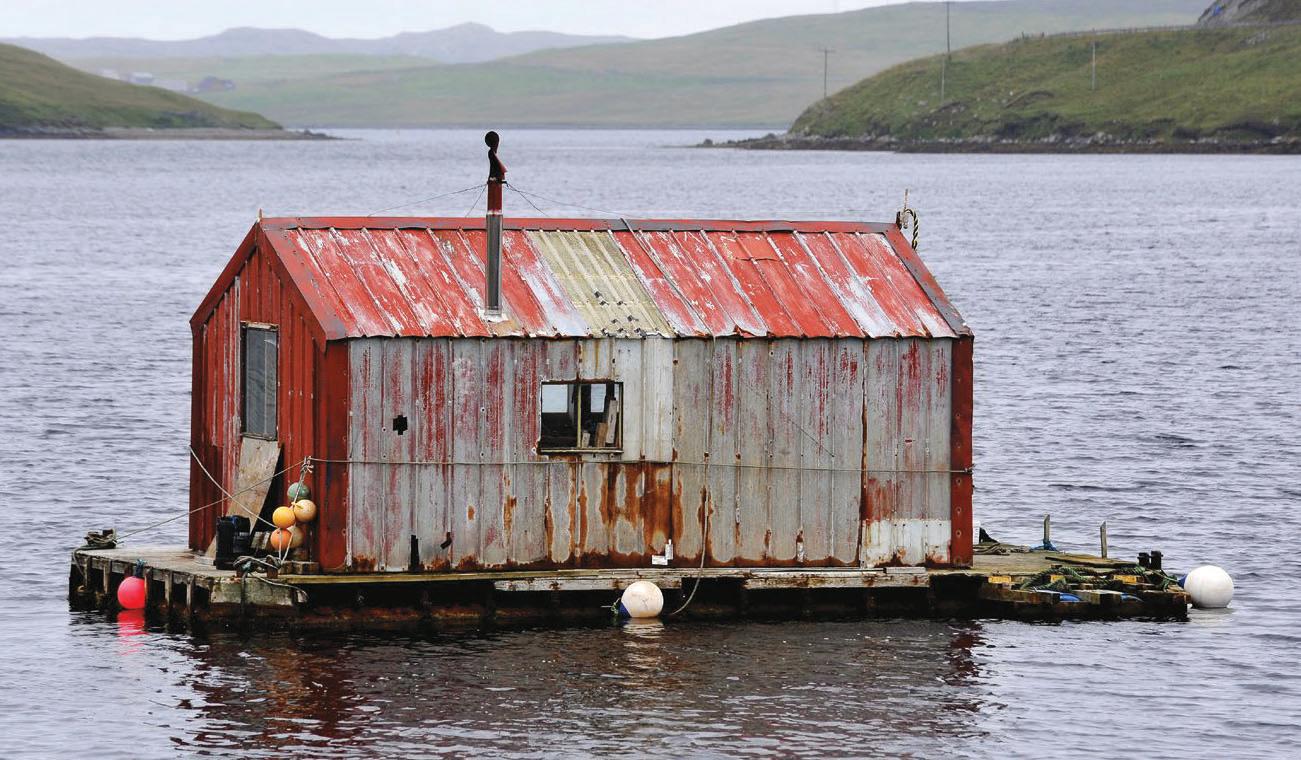 Trawling the literature