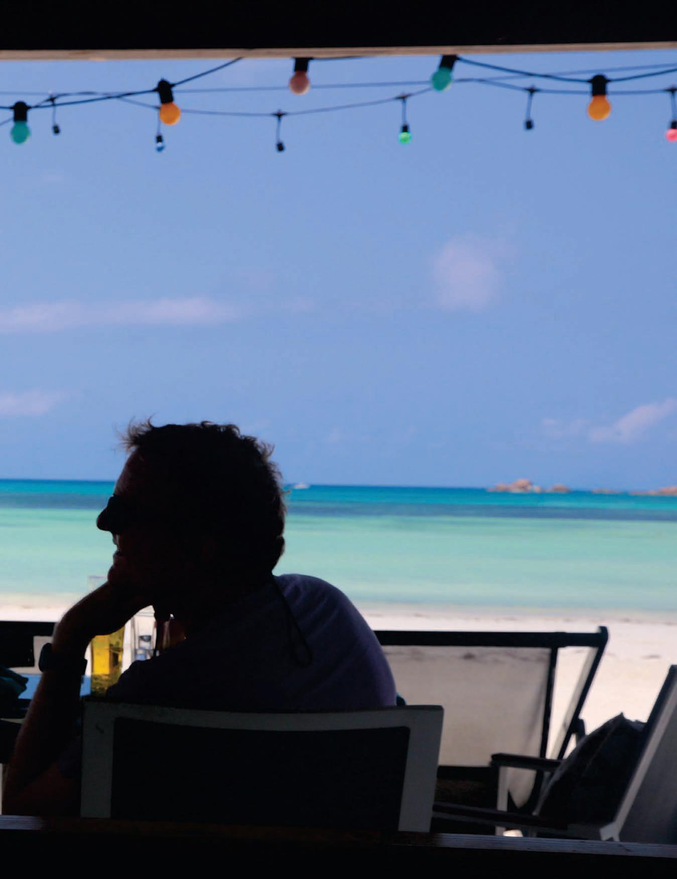 PARADISE FOUND