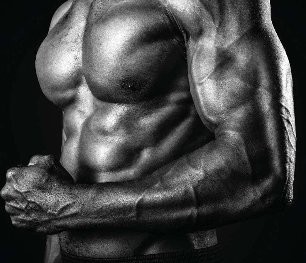 NEW STUDY: Intermittent Fasting Causes Muscle Loss