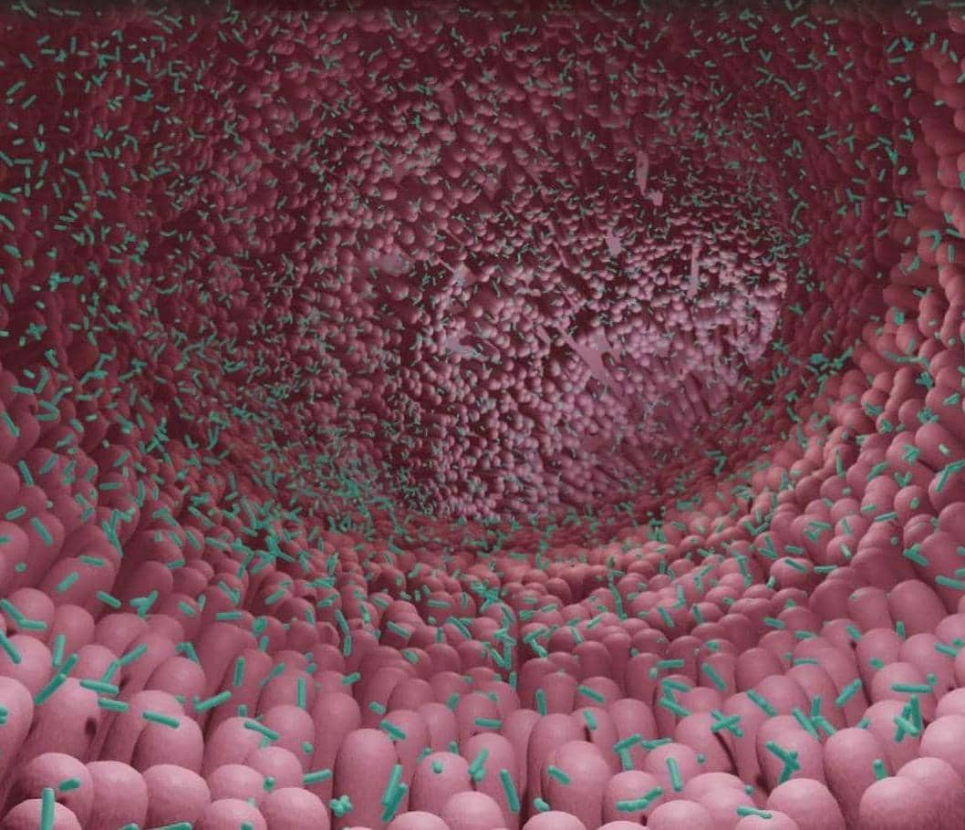 Maximize Your MICROBIOME