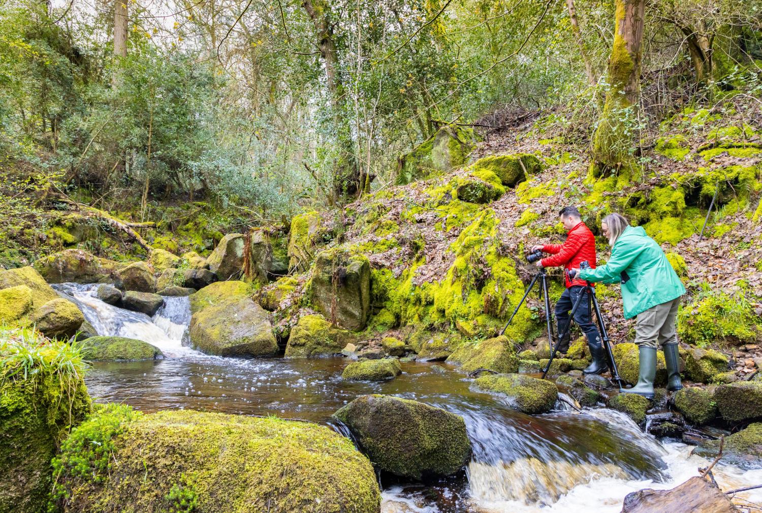 CHASING WATERFALLS