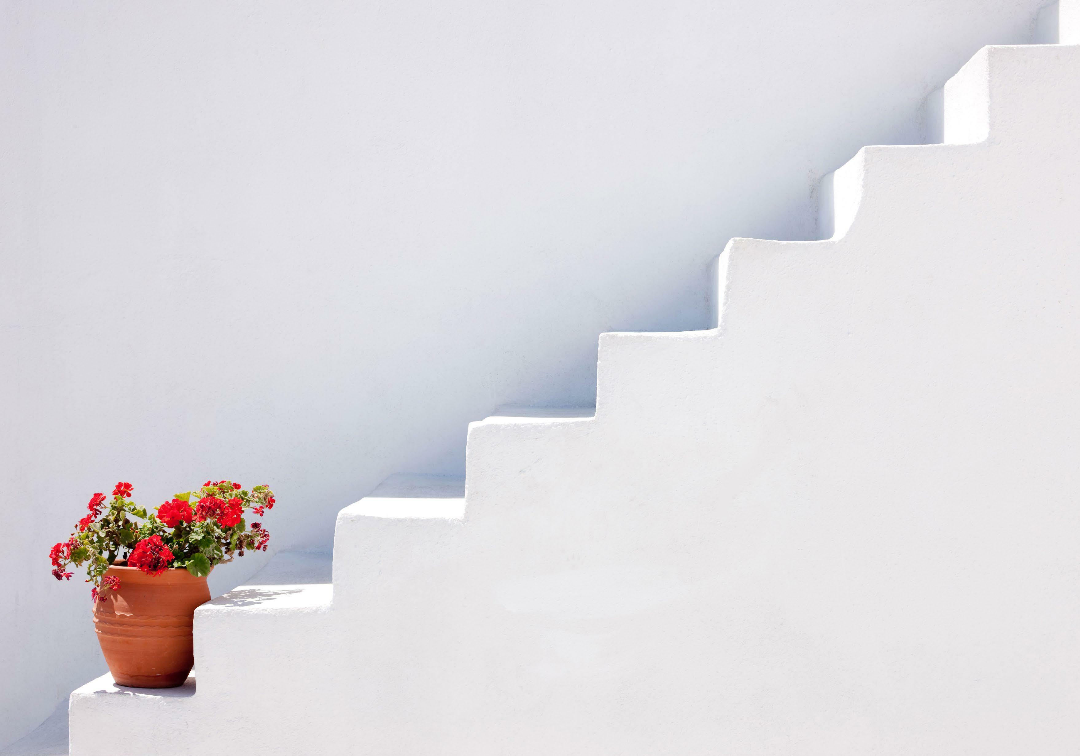 Santorini domes and flower pots