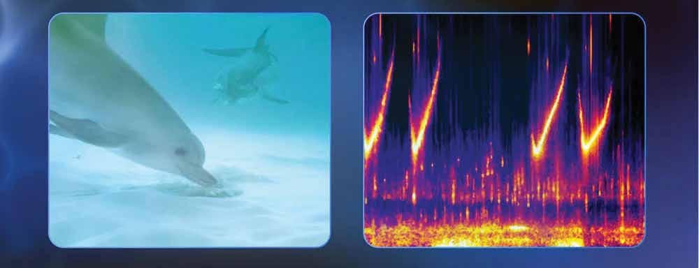 Google'dan yunusça çeviri