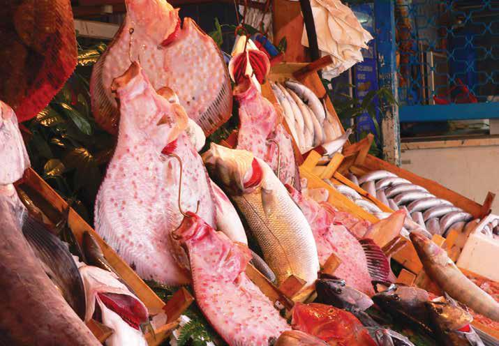 Kalkan balığı geldi mi, konuşmayı kesmek gerekir