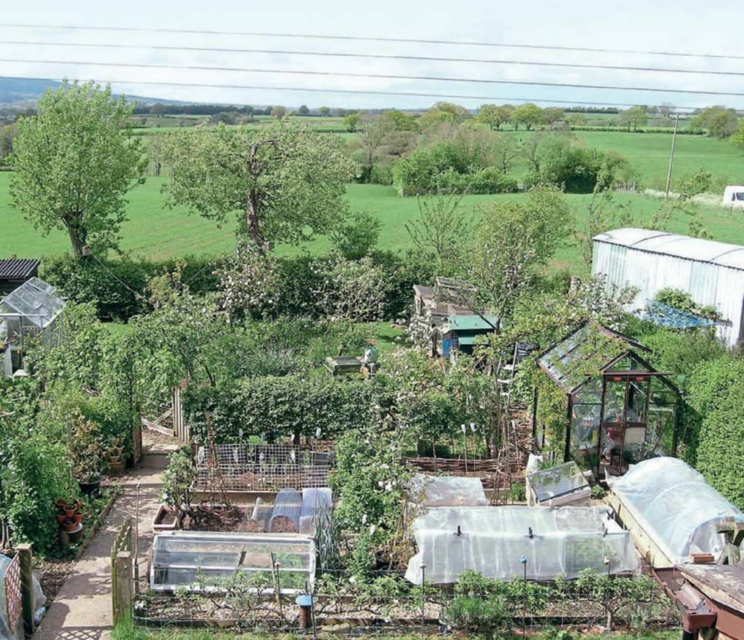 THE GARDEN ORCHARD