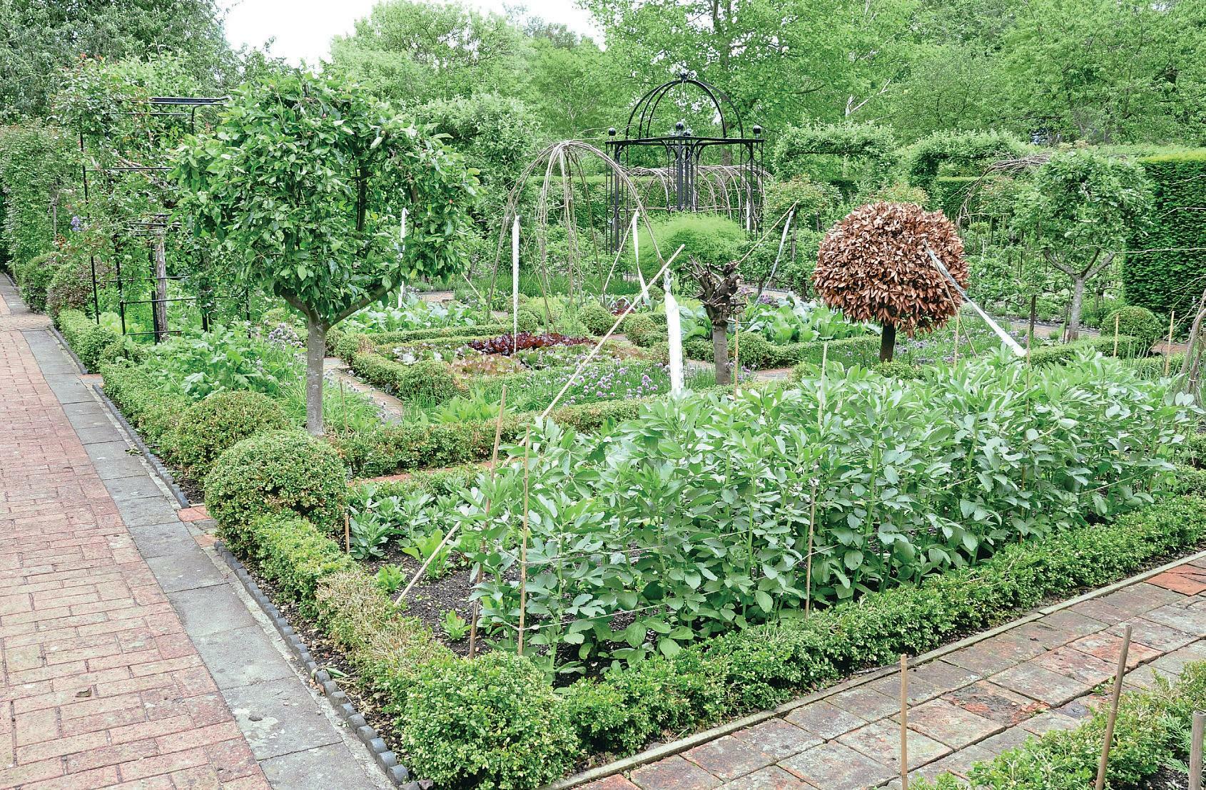 CREATING A POTAGER GARDEN