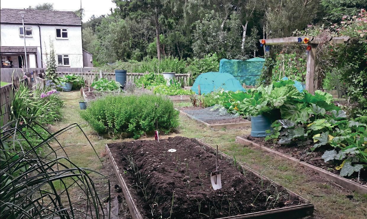 GROWING VEG AND GROWING COMMUNITY