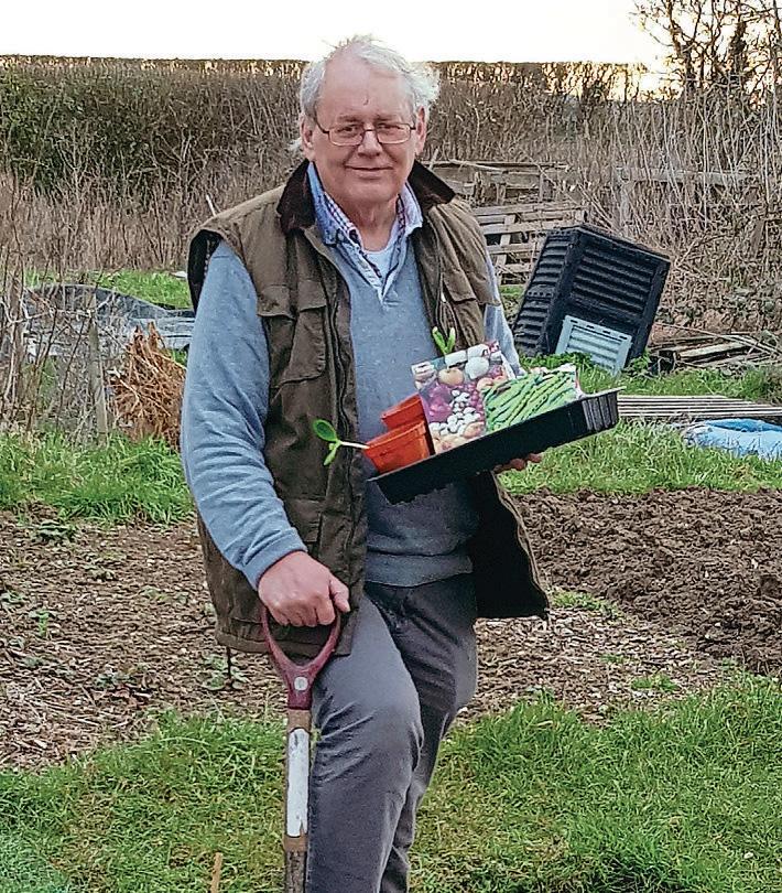 DOWN ON THE PLOT