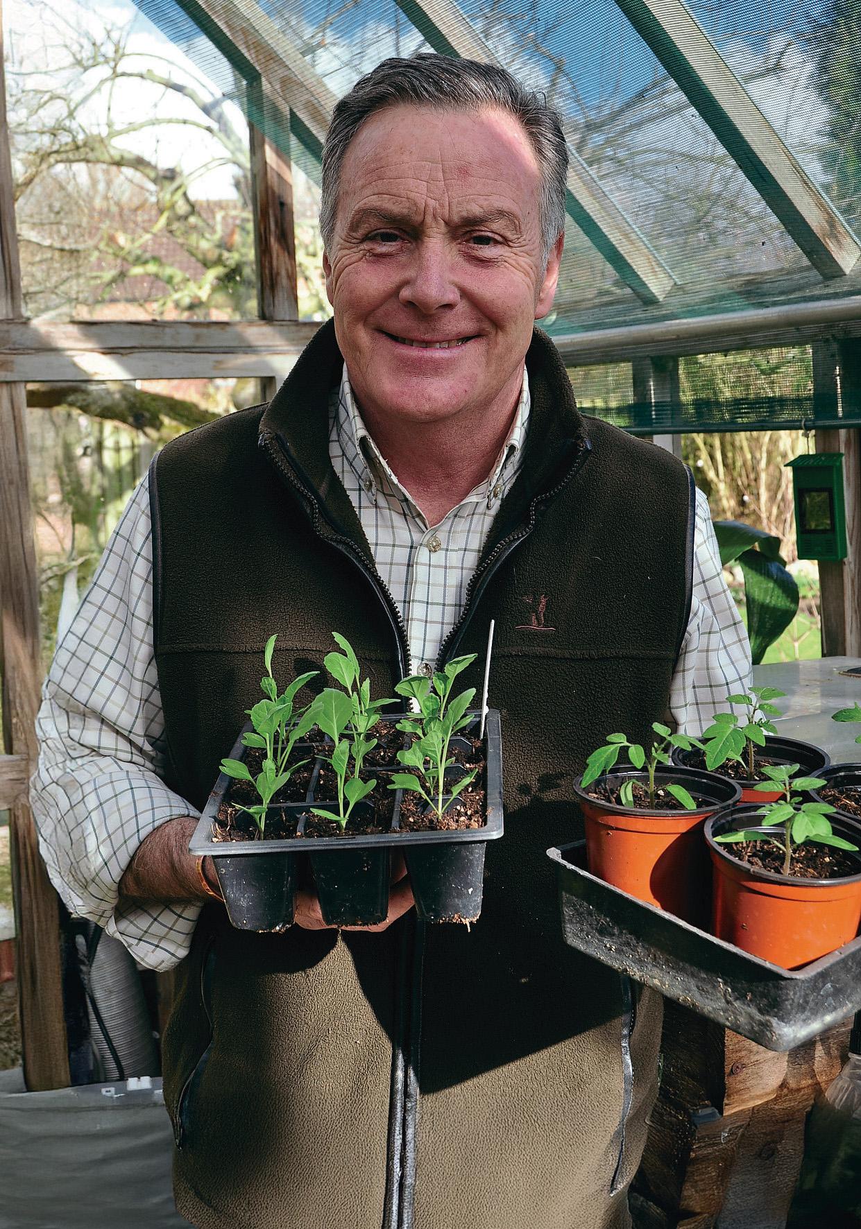 PRICKING OUT & POTTING UP