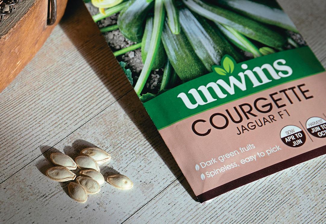 OPEN-POLLINATED VS HYBRID SEEDS: WHICH IS RIGHT FOR YOUR GARDEN?