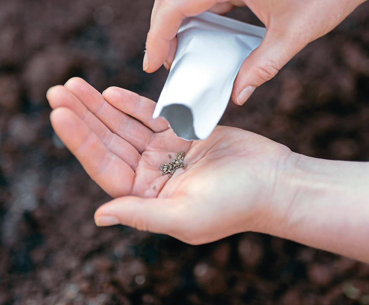 Still time to sow...