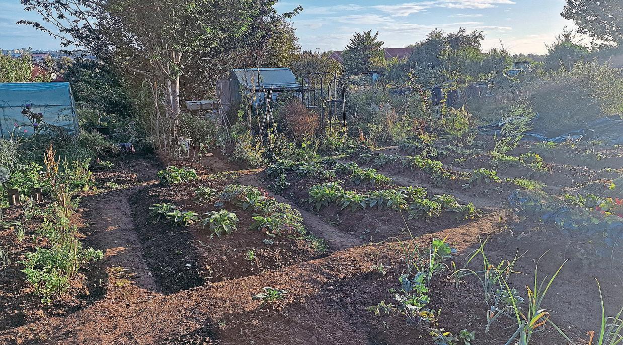 GOING ORGANIC ON YOUR NEW ALLOTMENT PLOT