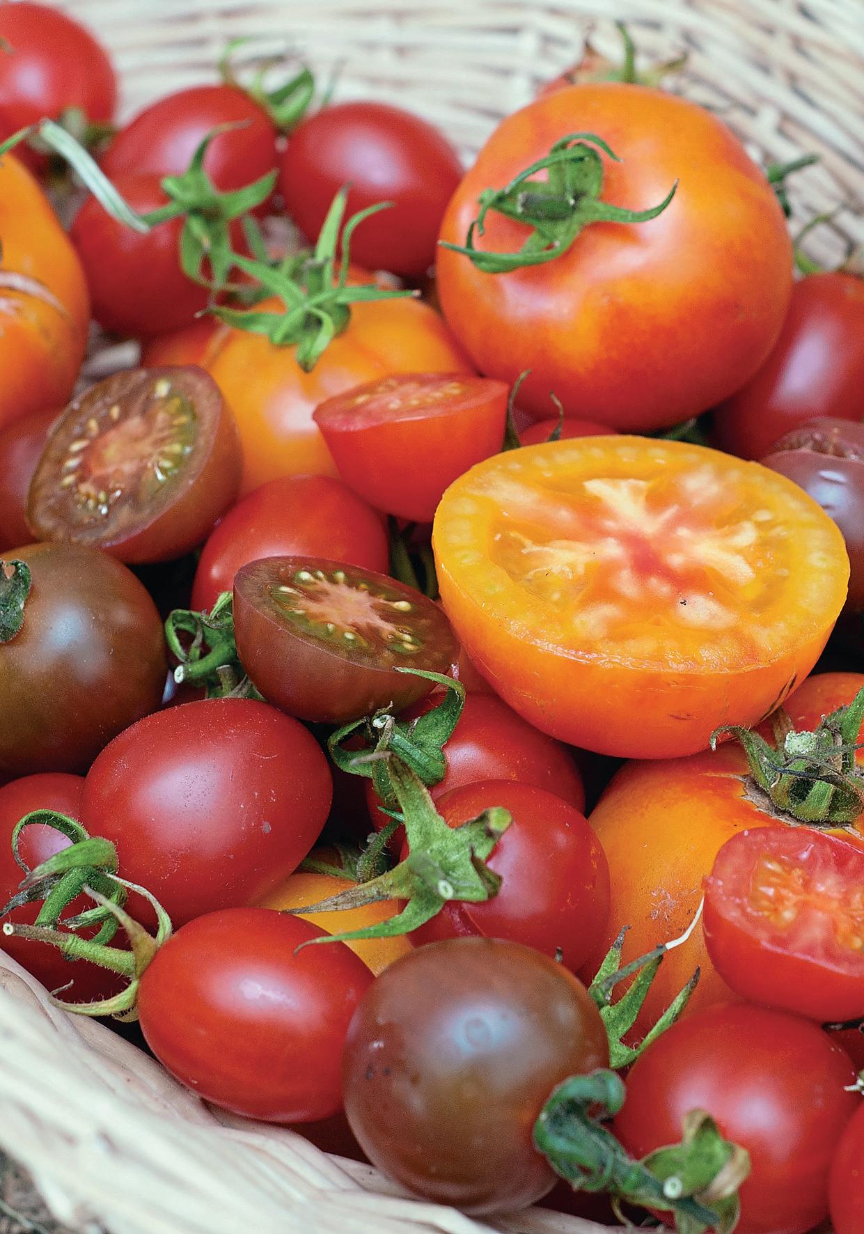SUN-RIPENED SHELF-READY
