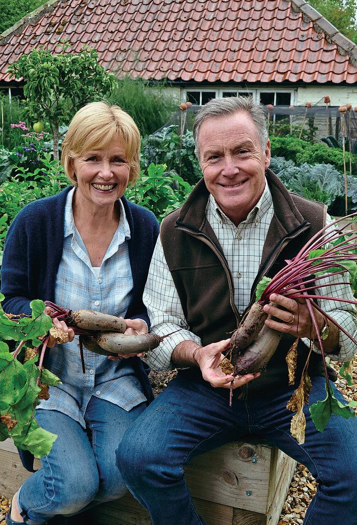 BEETROOT: FROM PLOT TO PLATE