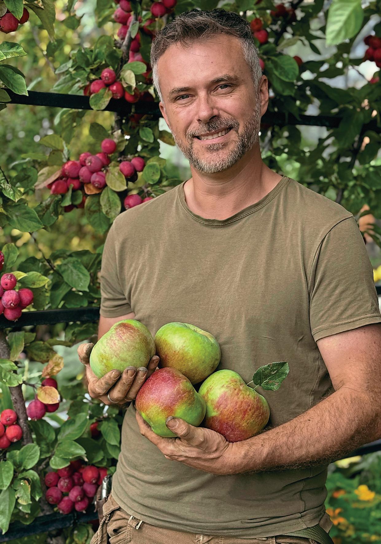 APPLES FOR EVERY SEASON