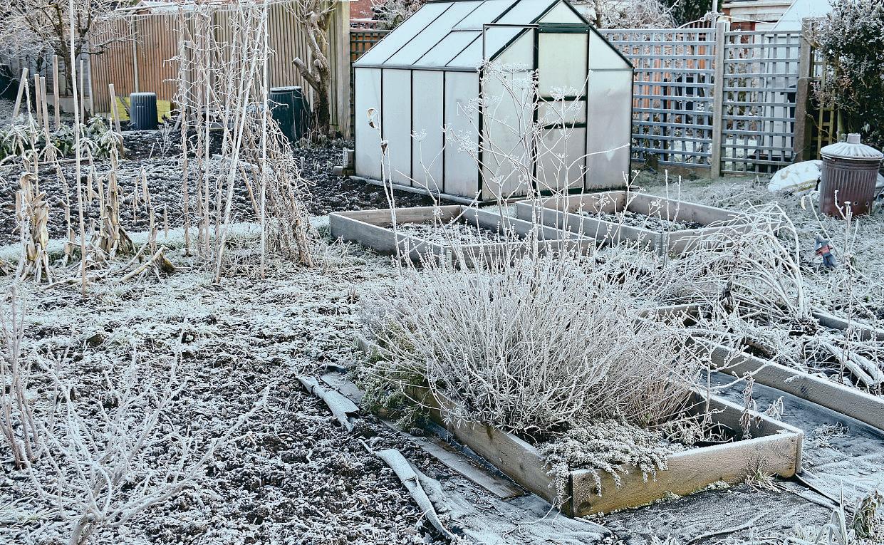 GIVE NATURE A HAND THIS WINTER