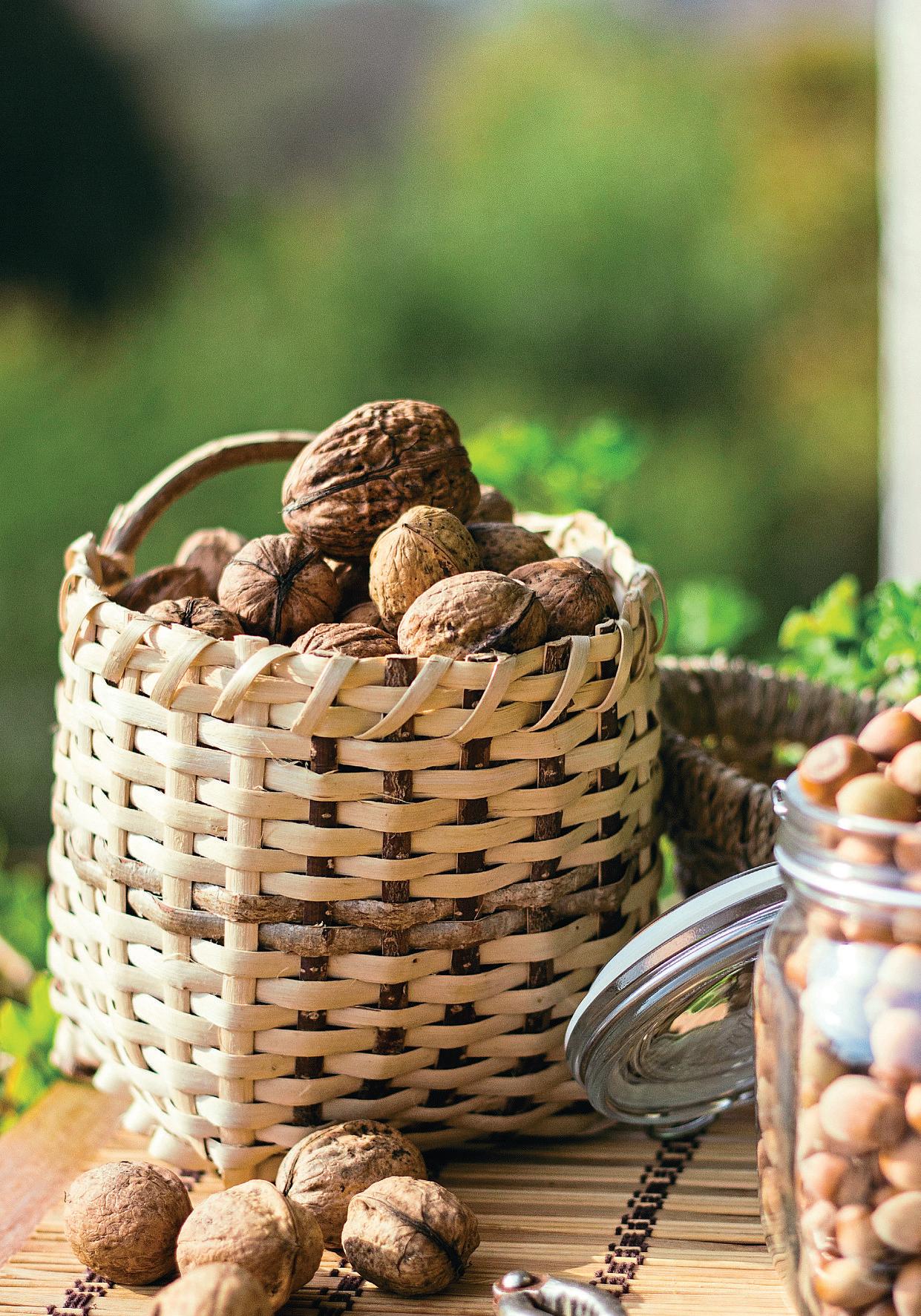 GROW YOUR OWN NUTS