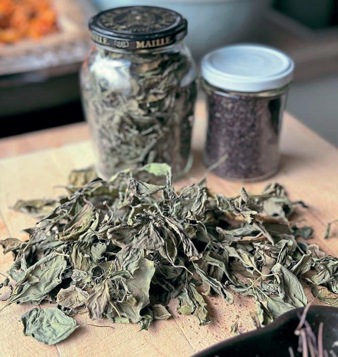 PRESERVING THE POWER OF HERBS